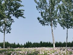 -汉长安城未央宫国家考古遗址公园