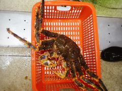-蚝专家(北滘店)