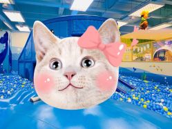 -Mollyfantasy莫莉幻想(奥克斯广场店)