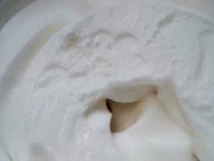 椰子雪糕-洪馨椰子