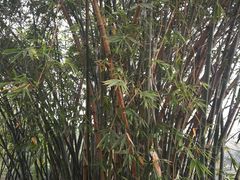 -晓港公园