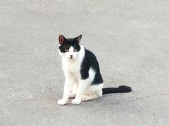 -新疆沙湾大盘鸡(重师店)