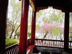-南汇桃花村