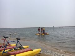 -碧海金沙