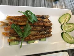 -龙泉人椰子鸡(龙昆南总店)