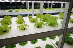 -安利上海体验馆