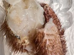 -初色海鲜自助(万丰路店)