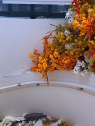 -WENDY·温迪皮肤管理