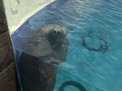 -左海海底世界