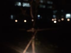 -东北大学(南湖校区)