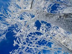 -哈尔滨热雪奇迹
