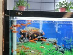 -张刚餐饮(春晓馨苑店)