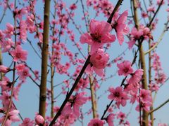 -良渚古城遗址公园