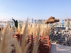 -Blue Concept Cafe&Farm·關於藍
