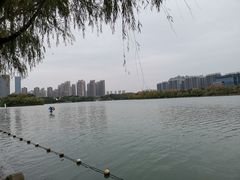 -天鹅湖体育公园