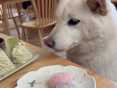 -柴の食堂·日式家庭料理·熊之肆(大学路店)