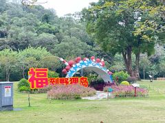 -野狸岛