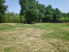 -长白岛森林公园