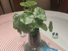 -鱼你相聚·河鲜馆(袁家岭店)