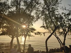 -宝安西湾红树林湿地公园