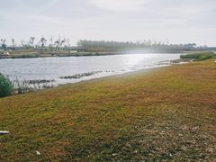 -春花秋色城市公园