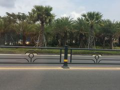 -三亚亚龙湾金棕榈度假酒店