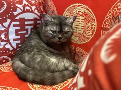-元氏钵仔糕(北京路店)