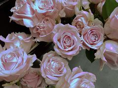 -HELEN FLORAL DESIGN(海上世界文化艺术中心店)