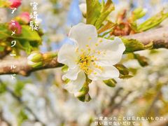 -海棠花溪(元大都城垣遗址公园)