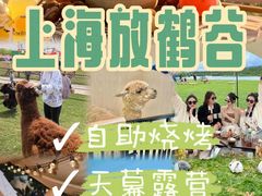 -栖露营camping·天幕烧烤·团建拓展·采摘营地