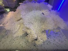 -游龙石文化科普馆
