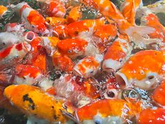 -太平洋海底世界