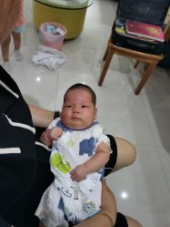 -凤鸣笔庄婴儿满月理发胎毛笔制作