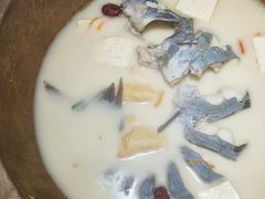 -滇小鱼·云南野生菌火锅(上杭路店)