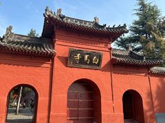 -洛阳白马寺
