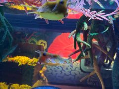 -沈阳海洋探索中心