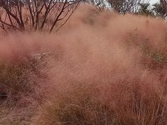 -南通洲际绿博园