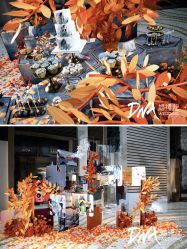 -DNA Wedding 婚礼记(上海店)