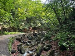 -本溪汤沟绿石谷森林公园