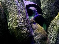 -太平洋海底世界