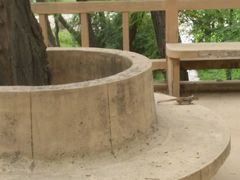 android_upload_pic-沈阳植物园