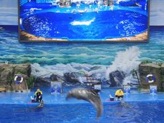 -多彩贵州城极地海洋世界