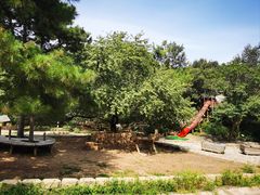 -北京西山国家森林公园