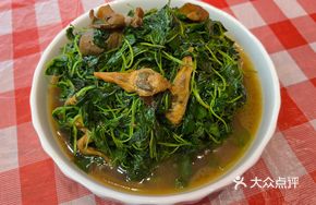 Freshwater Clam with Golden Clover
