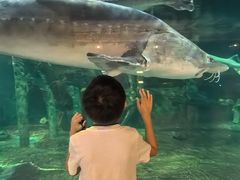 -华夏文旅海洋公园