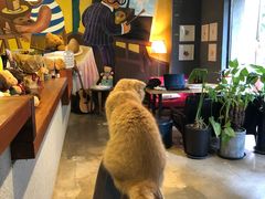 -咖法森林·咖啡  酒吧(天河店)