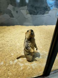 -酷嗒动物文化乐园(cutezoo西溪乐天城店)