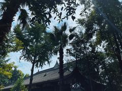 -青羊宫