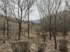 -三块石国家森林公园