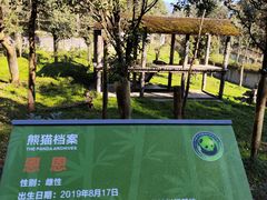 -中国大熊猫保护研究中心雅安碧峰峡基地